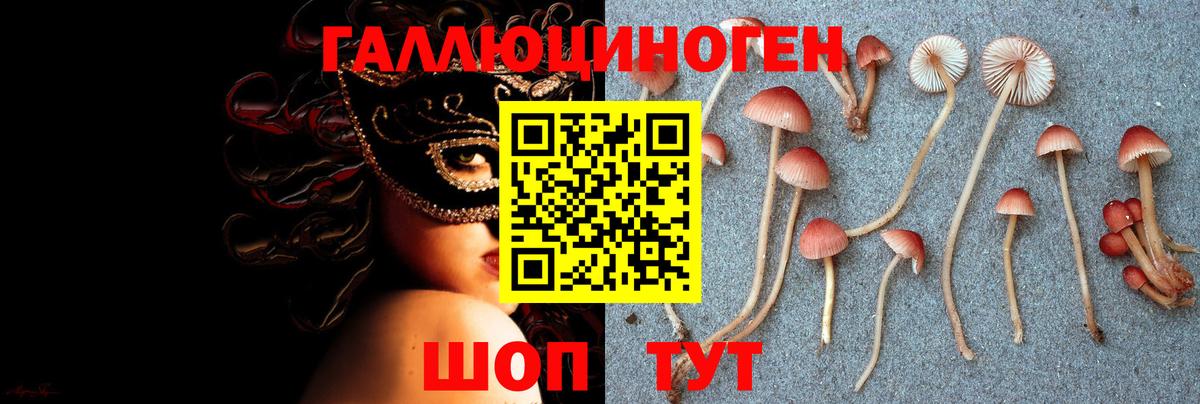 Галлюциногенные грибы Psilocybe  наркотики  Псилоцибиновые грибы GOLDEN TEACHER  Вичуга  Вход с VPN 